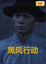 黑风计划海报